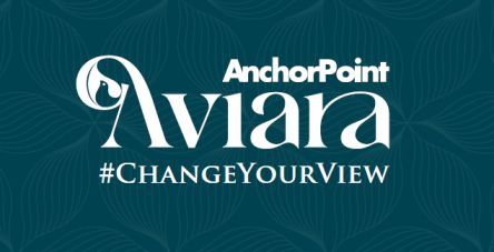 ANCHOR POINT Developers Logo